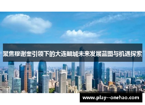 聚焦穆谢奎引领下的大连鲲城未来发展蓝图与机遇探索